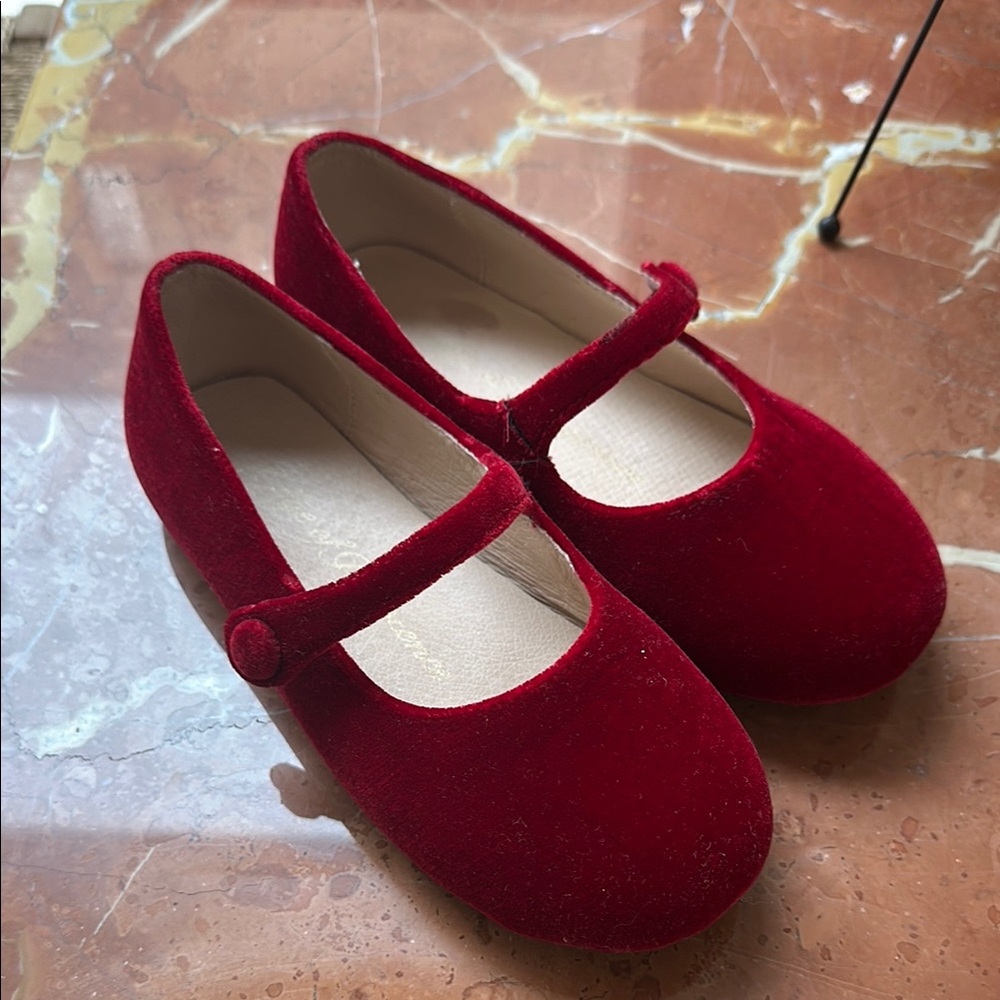 Age of Innocence mary jane velvet shoes